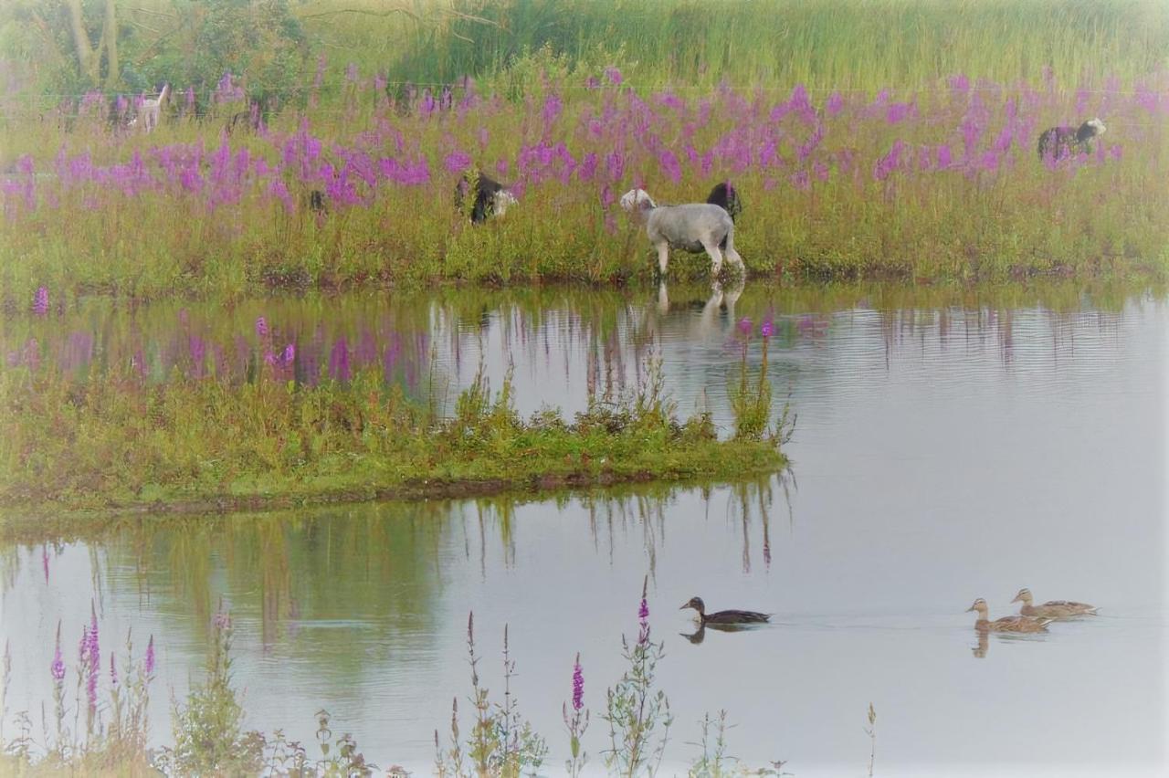 Huize Rozina Sint Martens Latem Bagian luar foto